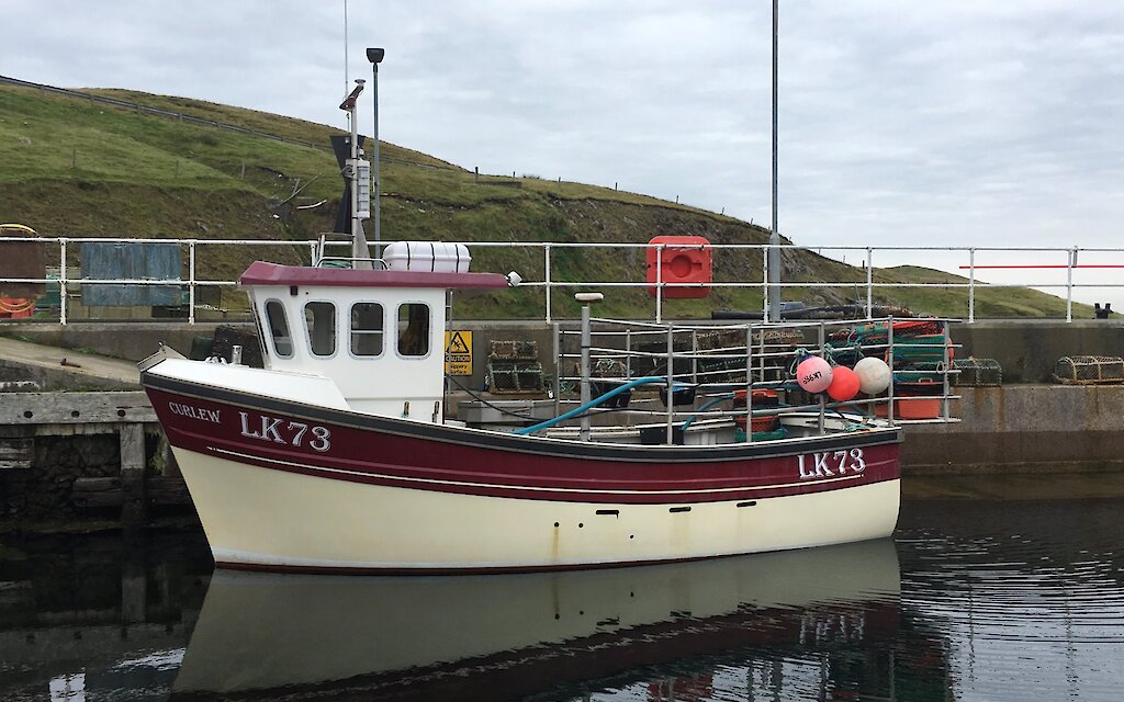 LK 73