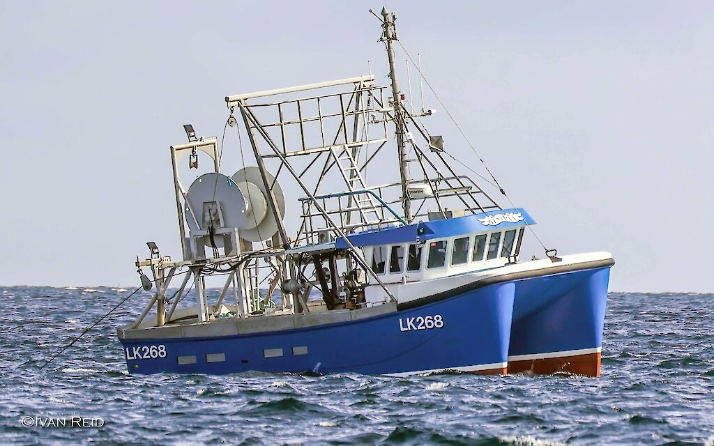 LK 268