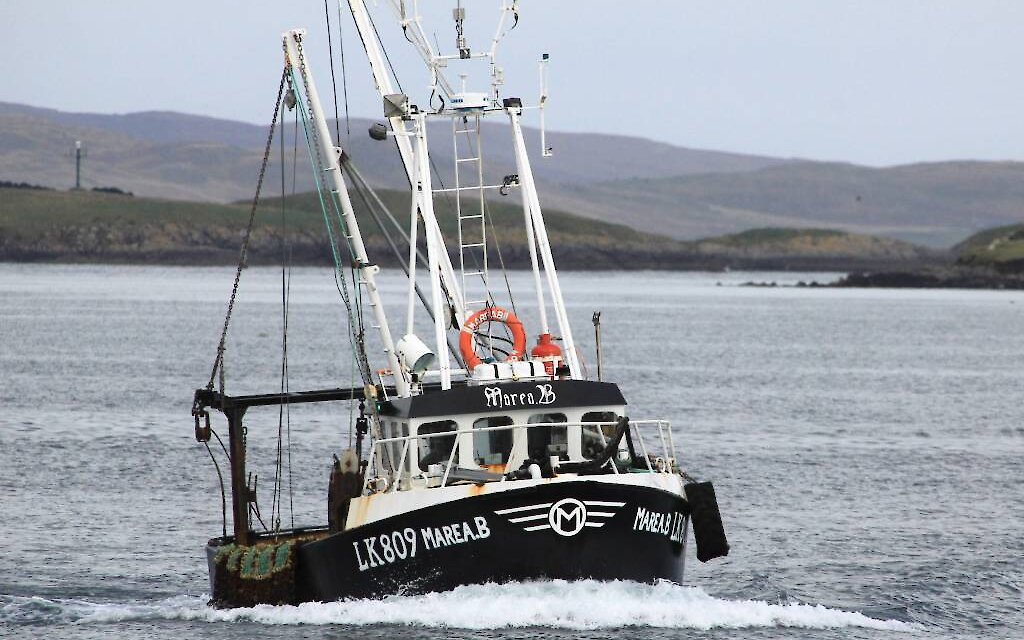LK 809