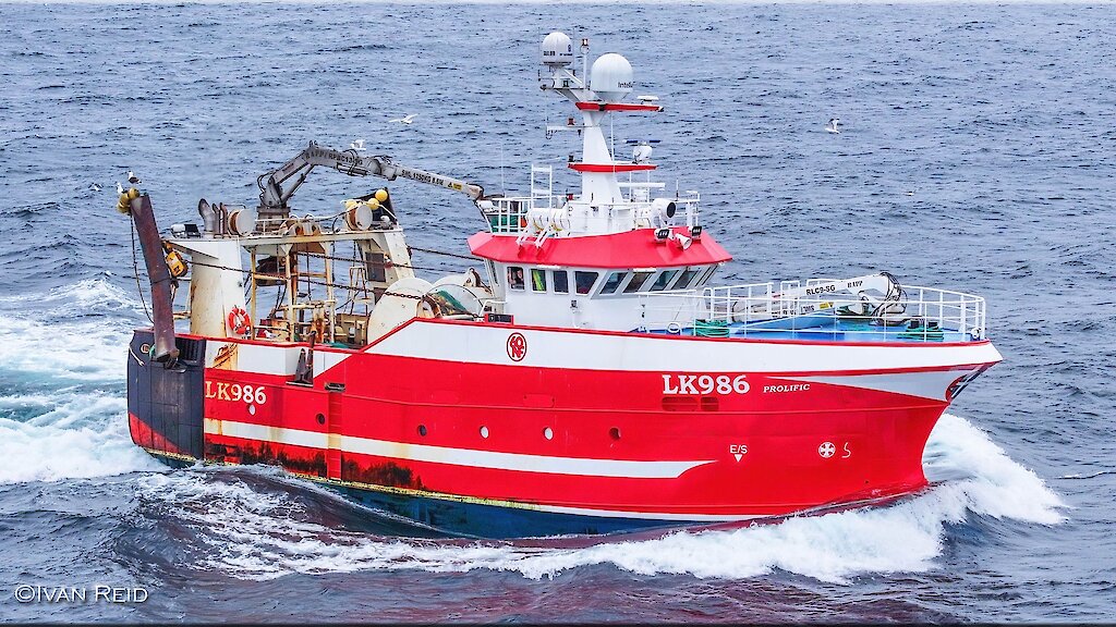 Prolific (LK 986) | The Shetland Fishermen