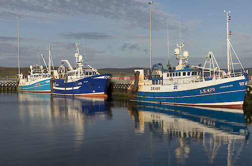 Whitefish boats moored in Lerwick Harbour