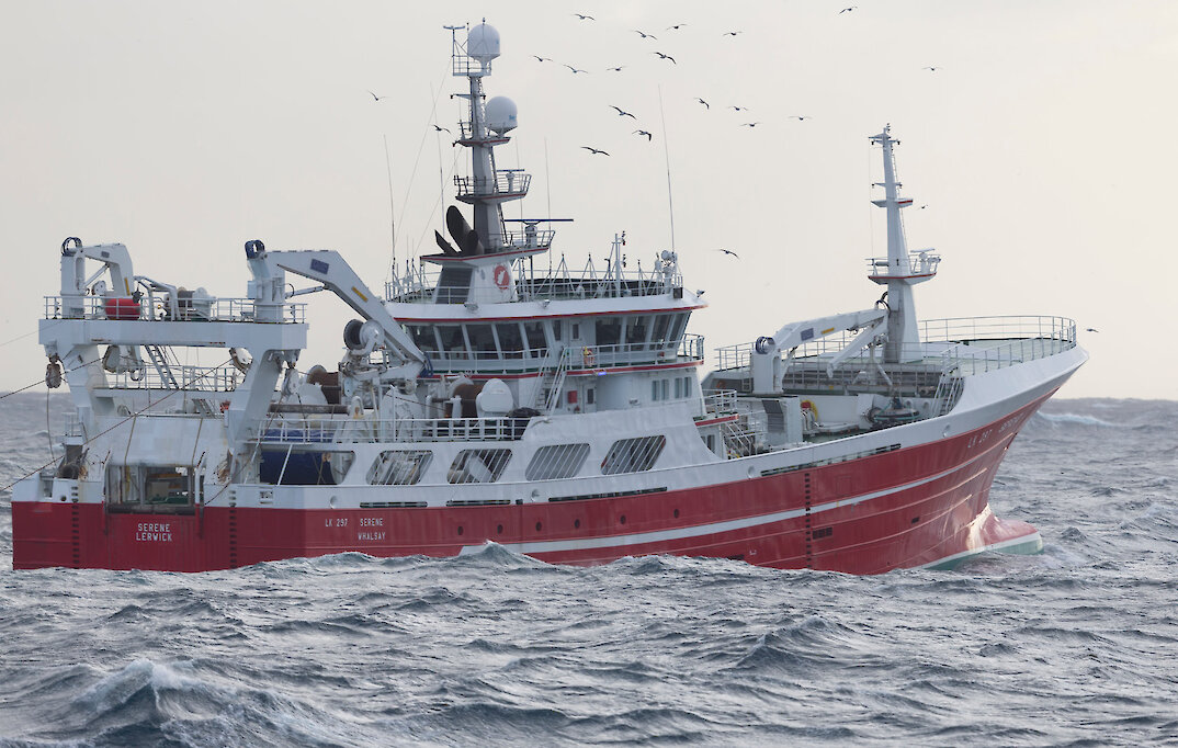 Photo caption: Whalsay pelagic boat Serene at the mackerel fishing November 2016