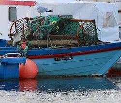 Shellfish landings up by a fifth