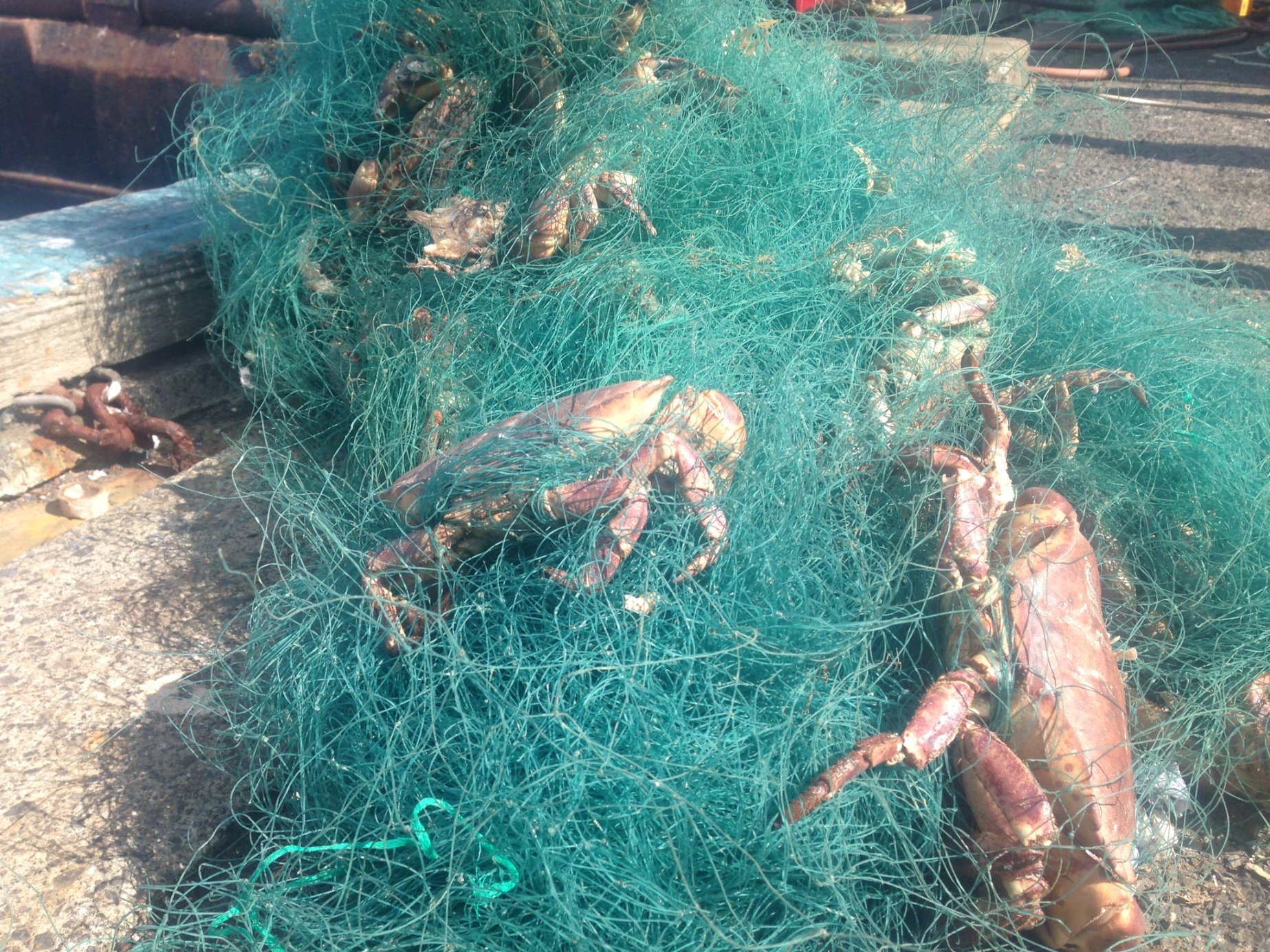 Skippers call for tougher controls on plastic gill net and
