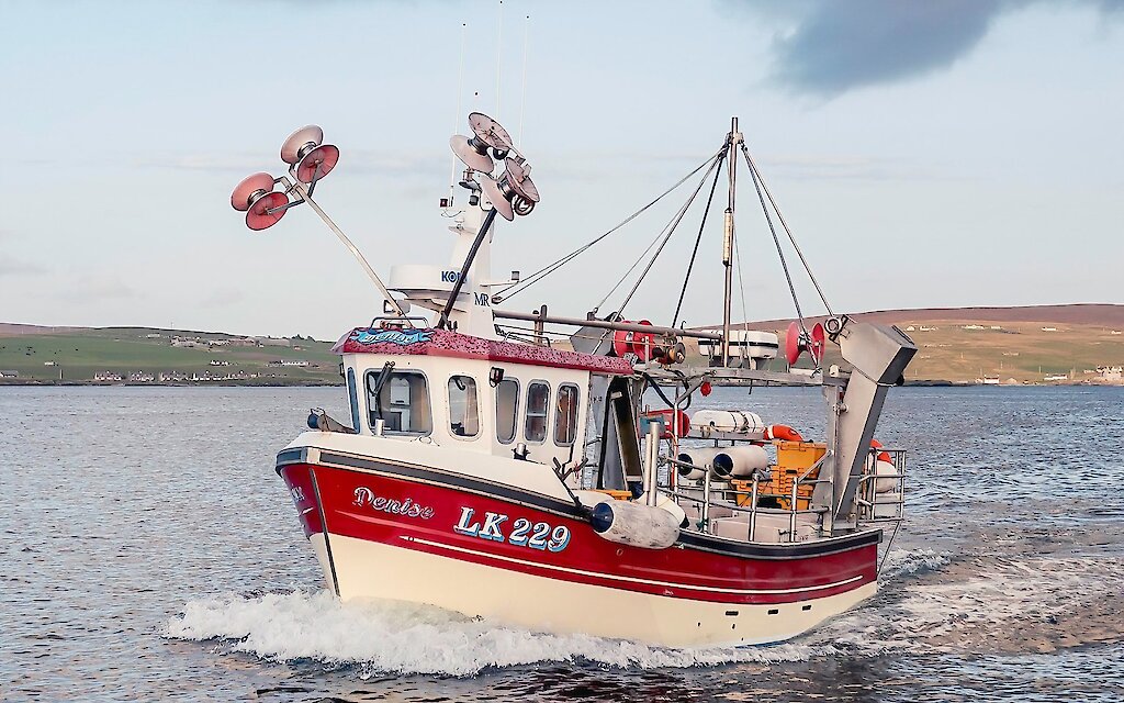LK 229