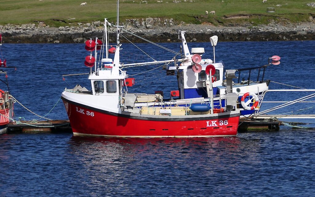 LK 36