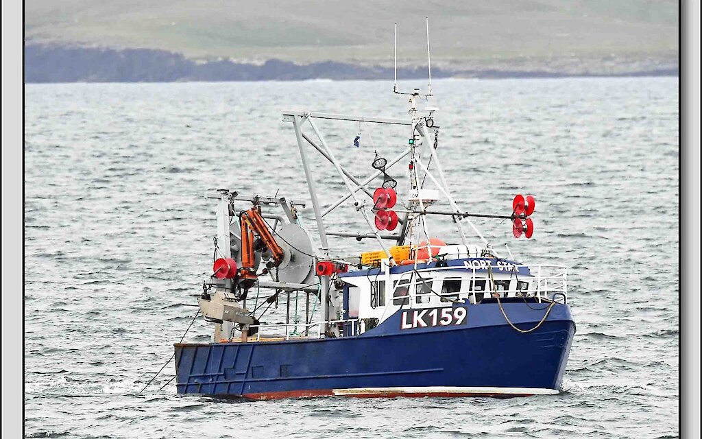 LK 159