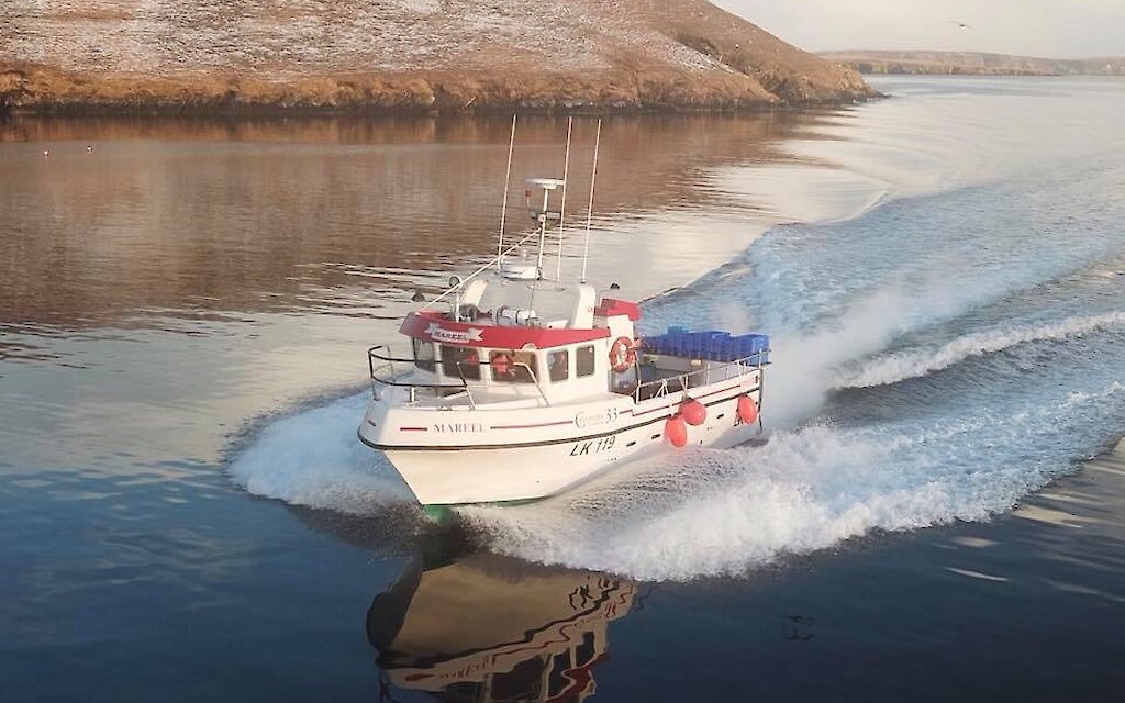 LK 119
