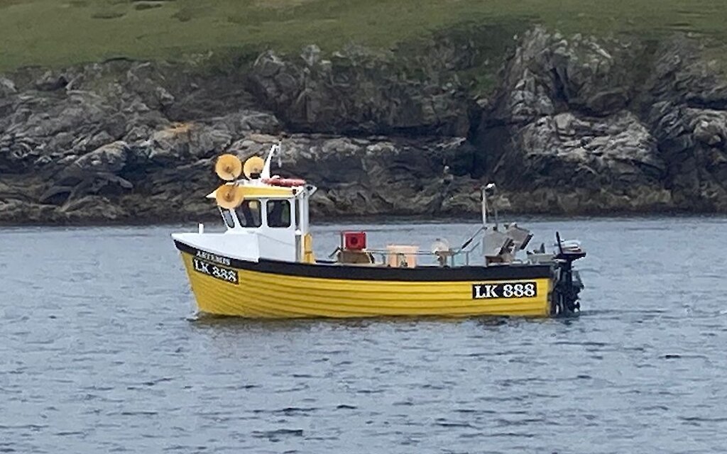 LK 888